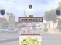 Détails : Montmarault