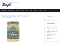Détails : Bingle.fr déposez vos annonces en toute simplicité