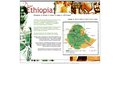 Détails : Dear Ethiopia