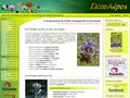 Détails : Flore des Hautes-Alpes