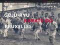 Détails : Karaté Goju-ryu Bruxelles
