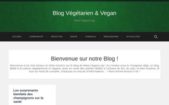 image du site https://blog.meet-vegans.top/