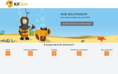 image du site https://www.kiub-solutions.fr/