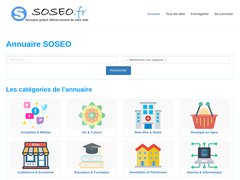 Aperçu du site Soseo.fr