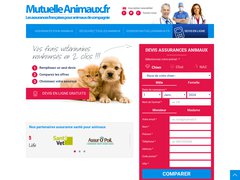 Assurance animaux domestiques