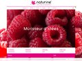 screenshot http://www.naturine.fr Naturine agence de communication