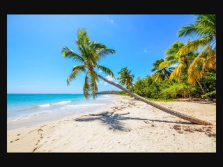 Croisière en Martinique, ce qu’il faut savoir pour organiser votre voyage