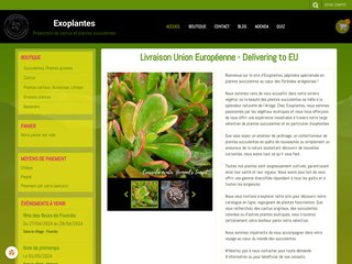 Exoplantes : producteur de cactus