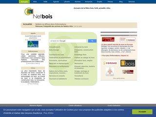 screenshot http://www.netbois.com <title>ANNUAIRE NOOGLE.  webmaster connect</title>
