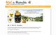 Utilisation du miel de Manuka en dermatologie